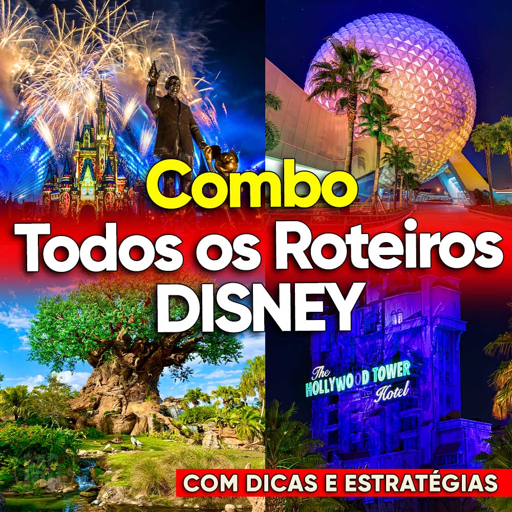 Combo Disney